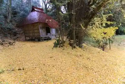 乙宿禰神社の自然