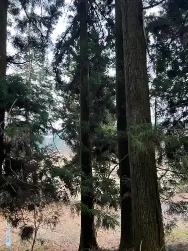 大宮温泉神社(栃木県)