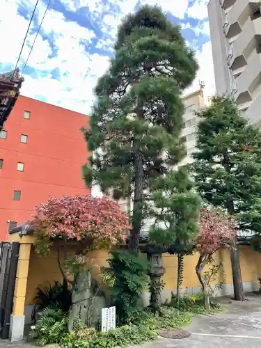 専光寺(東京都)