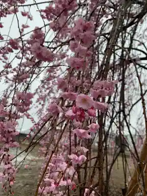満願寺(埼玉県)