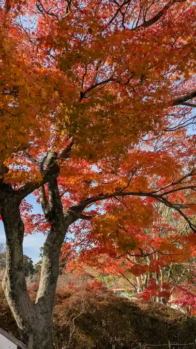 長岡天満宮(京都府)