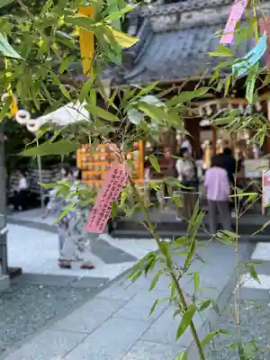 川越熊野神社(埼玉県)