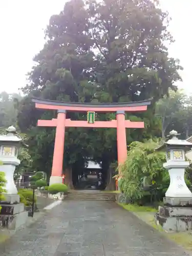 河口浅間神社の鳥居