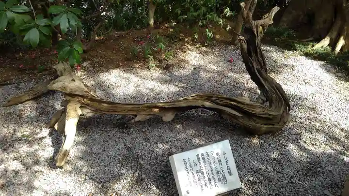高蔵寺(東京都)