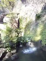 銭洗弁財天宇賀福神社の自然