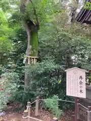 川越八幡宮(埼玉県)