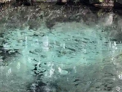 泉神社(茨城県)