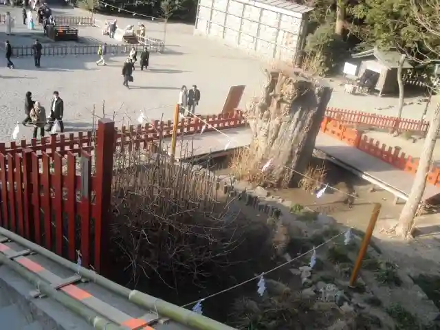 鶴岡八幡宮の自然