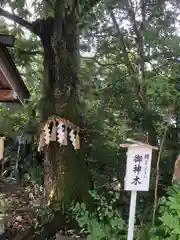 須天熊野神社(石川県)