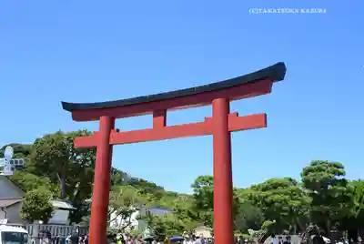 鶴岡八幡宮(神奈川県)
