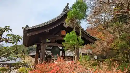 三室戸寺(京都府)