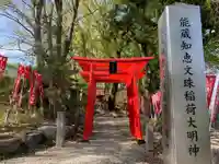 能蔵知恵文殊稲荷大明神の鳥居