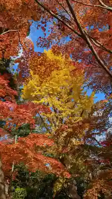 長岡天満宮(京都府)