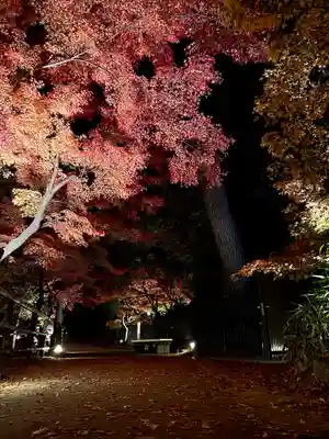 北野天満宮(京都府)