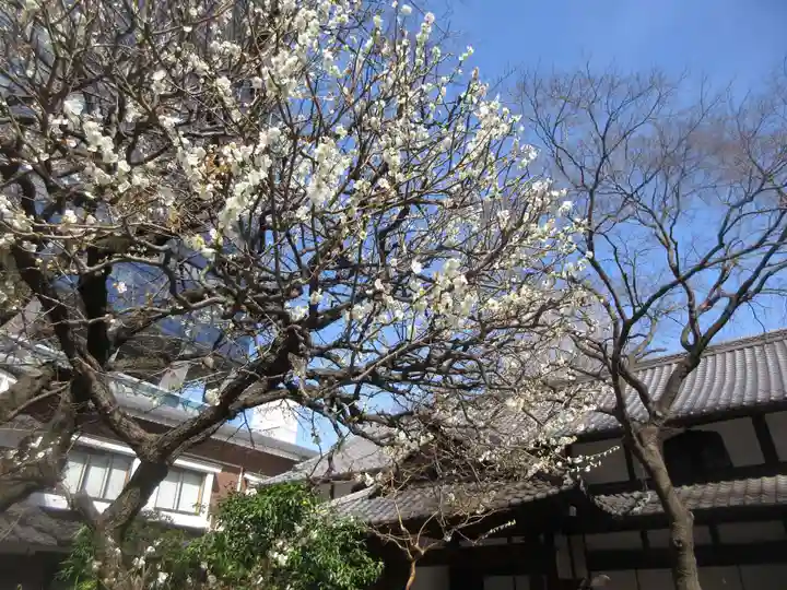 常圓寺(東京都)