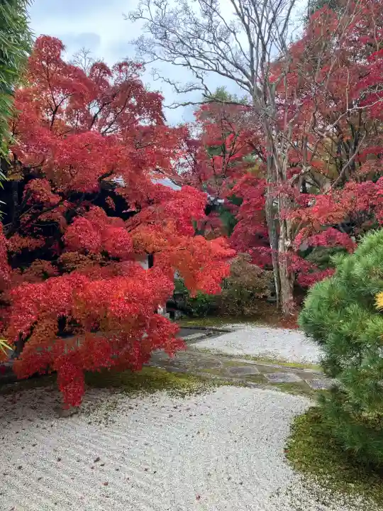 天授庵(京都府)