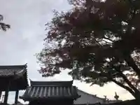 雲住寺のその他建物