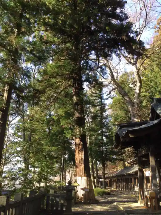 手長神社(長野県)