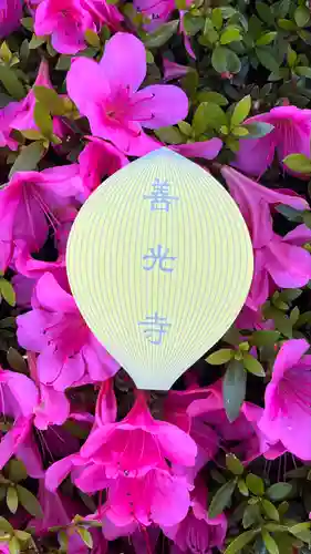 善光寺大本願(長野県)