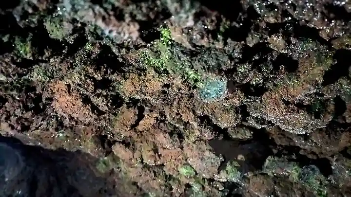 無戸室浅間神社(船津胎内神社)(山梨県)