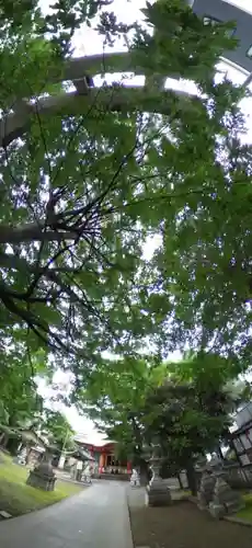 戸部杉山神社(神奈川県)