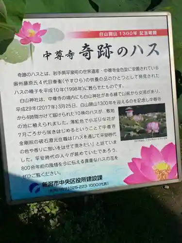 白山神社(新潟県)