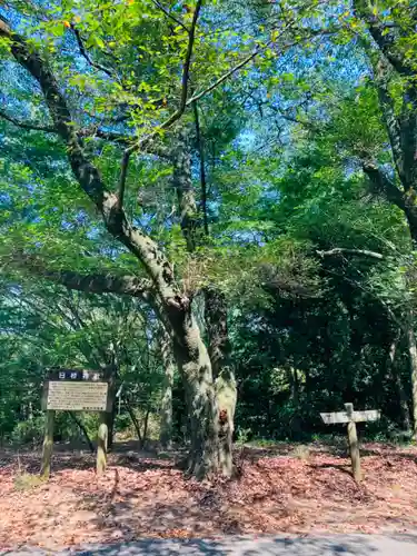 日枝神社の自然