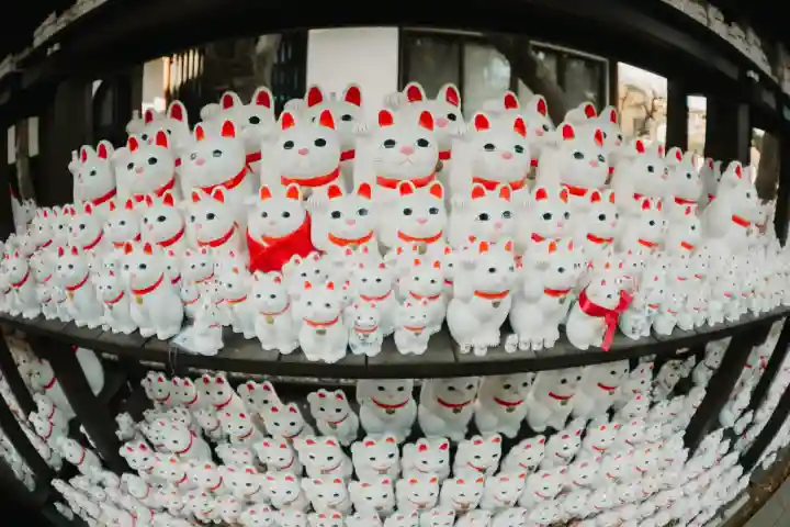 豪徳寺(東京都)