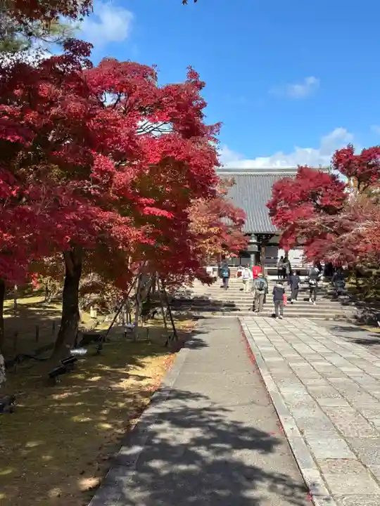 仁和寺(京都府)
