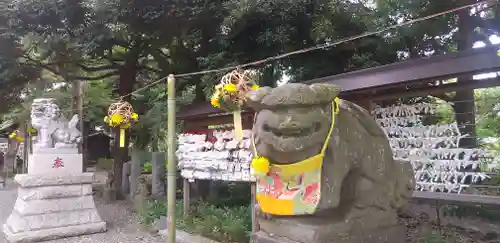 菊田神社の狛犬