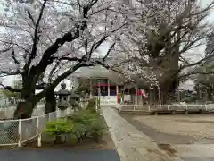 千葉寺(千葉県)