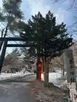 琴平神社(北海道)