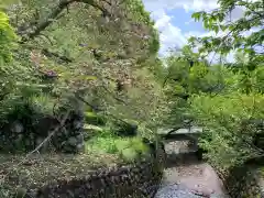 羽賀寺の自然