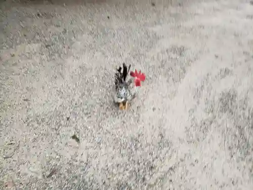 石上神宮(奈良県)