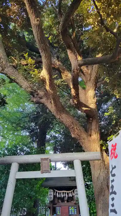 上高田氷川神社の鳥居