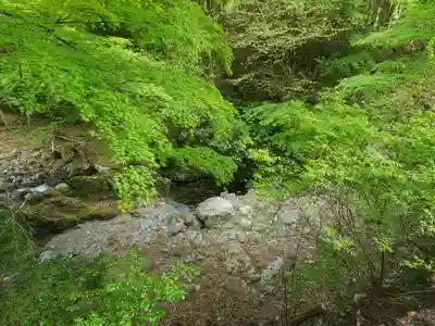 しかしまぁなかなかキレイです♪