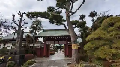 大坊本行寺の山門・神門
