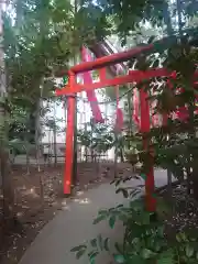 座間神社の鳥居