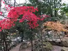 宝満宮竈門神社(福岡県)