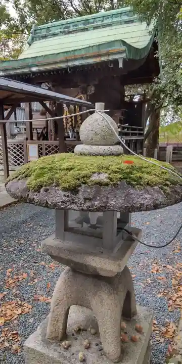 大藤神社(京都府)