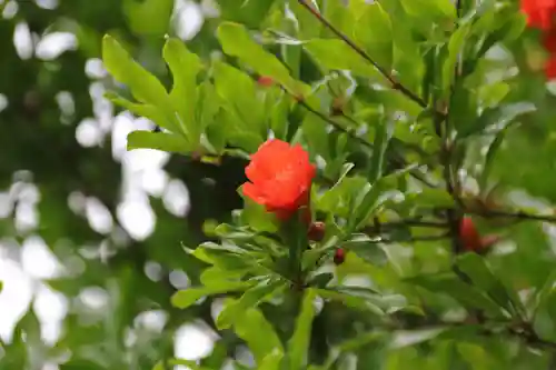 開成山大神宮の庭園