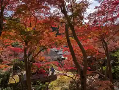 長壽寺（長寿寺）(神奈川県)