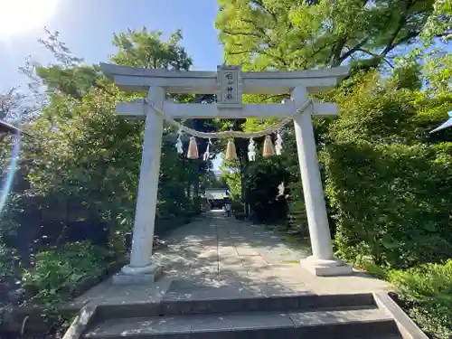 星川杉山神社の鳥居