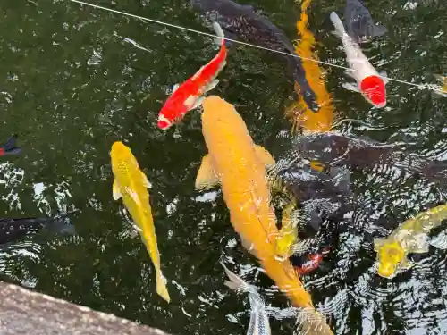 建部大社(滋賀県)