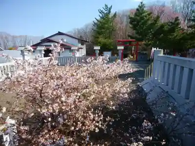 樽前山神社のその他建物