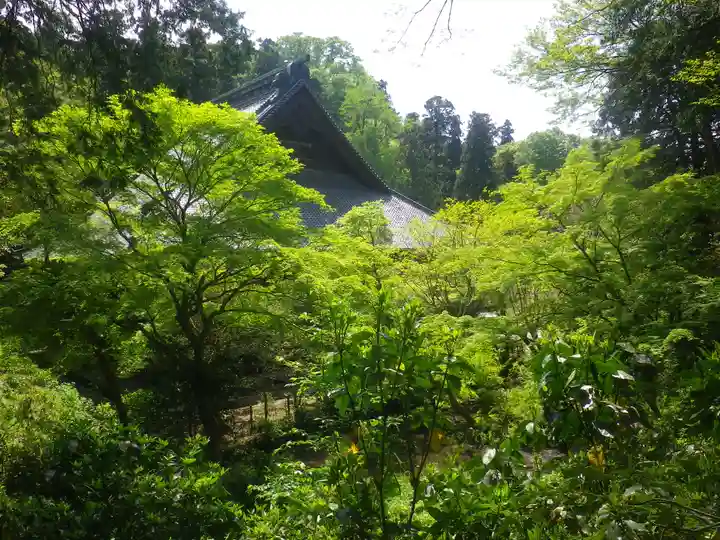 妙本寺の自然