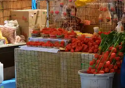 浅草寺(東京都)