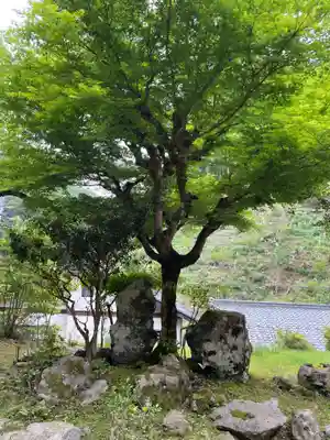 洞谷寺(京都府)