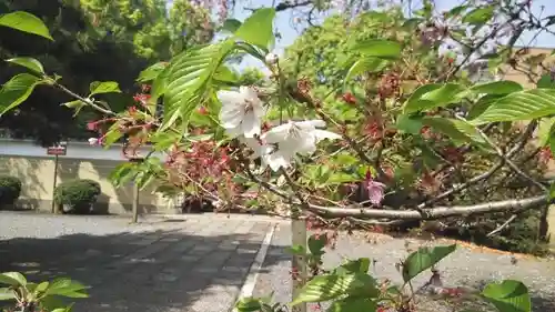 大報恩寺（千本釈迦堂）のその他建物