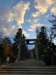 住吉神社の鳥居